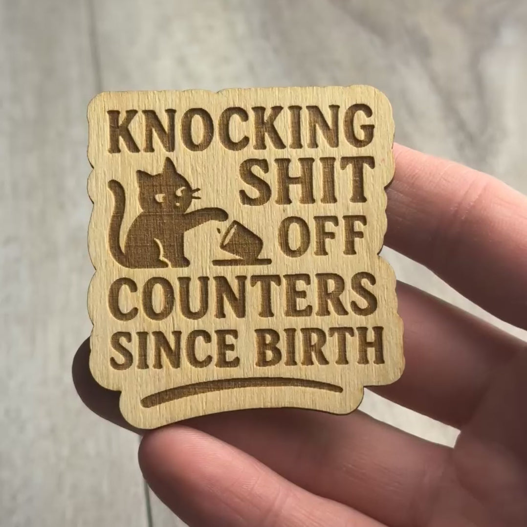 KNOCKING SHIT OFF COUNTERS SINCE BIRTH magnet video