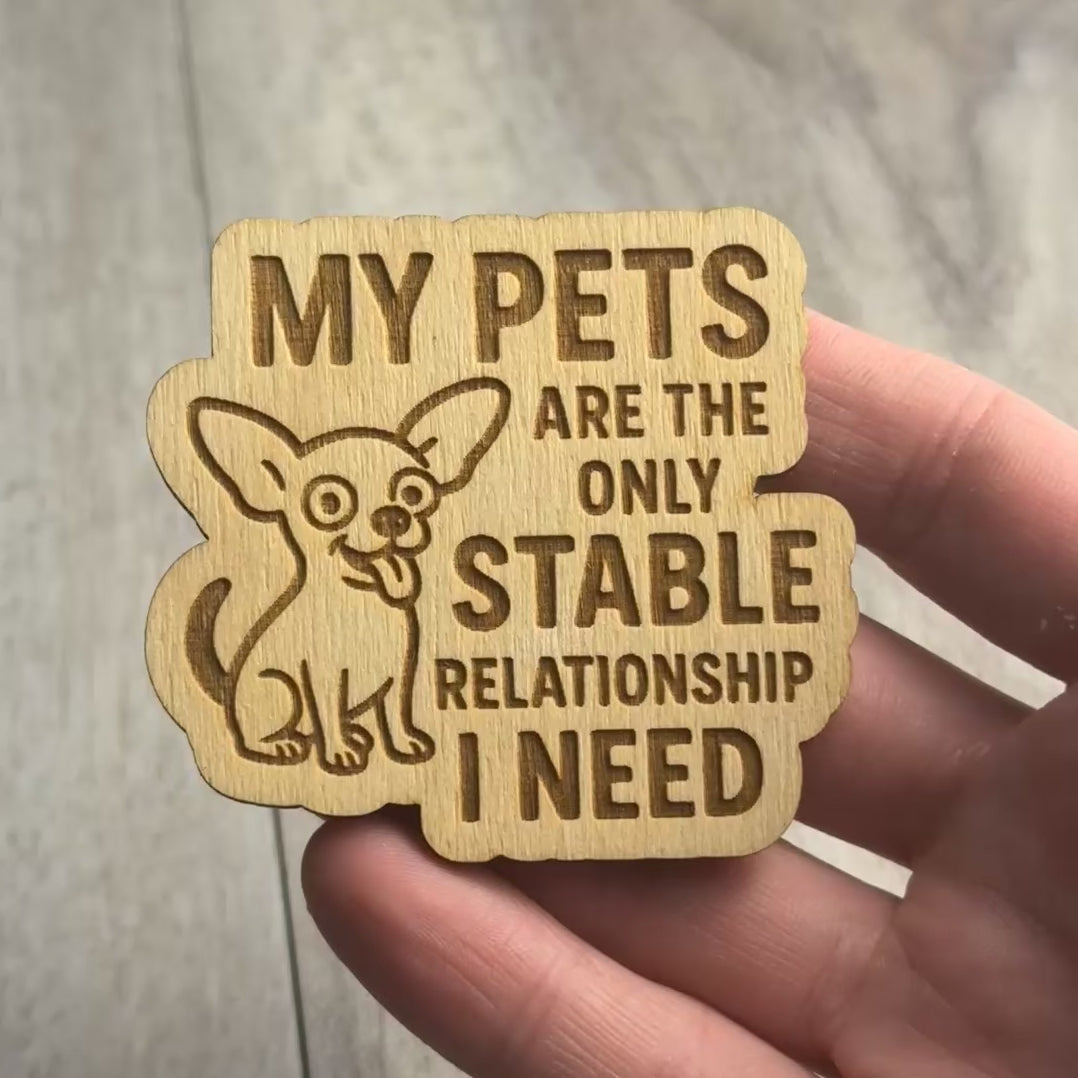MY PETS ARE THE ONLY STABLE RELATIONSHIP I NEED dog version magnet video