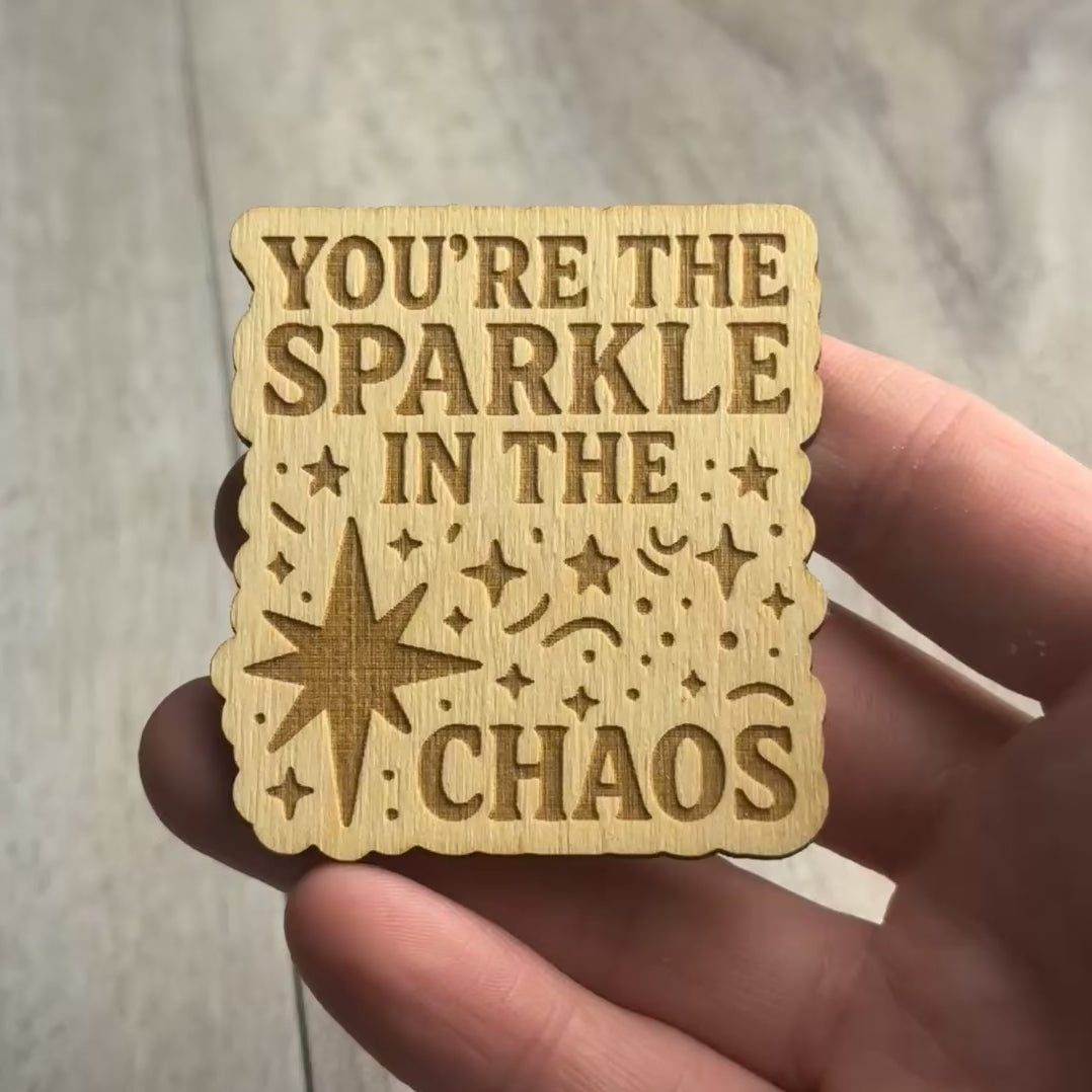 YOU’RE THE SPARKLE IN THE CHAOS magnet video