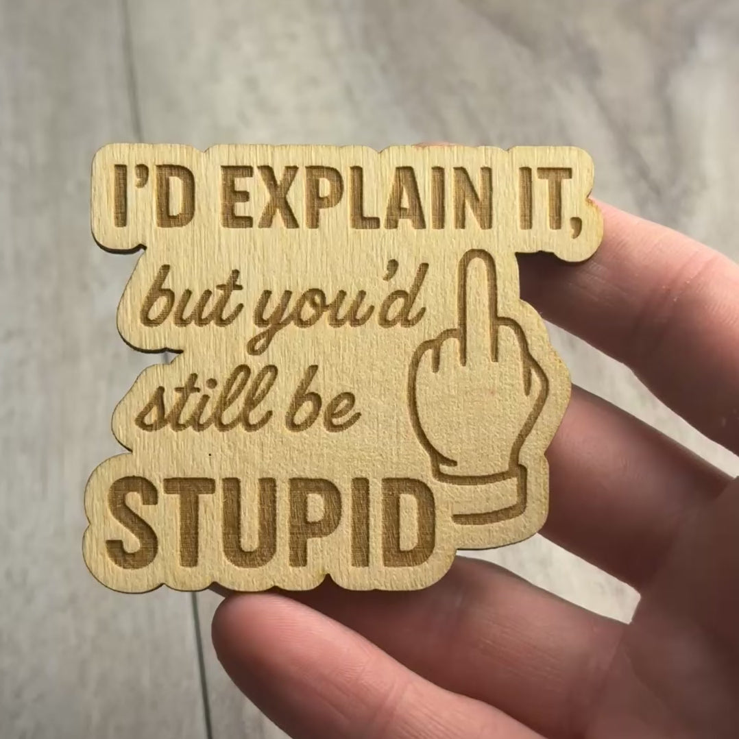 I’d explain it, but you’d still be STUPID magnet video