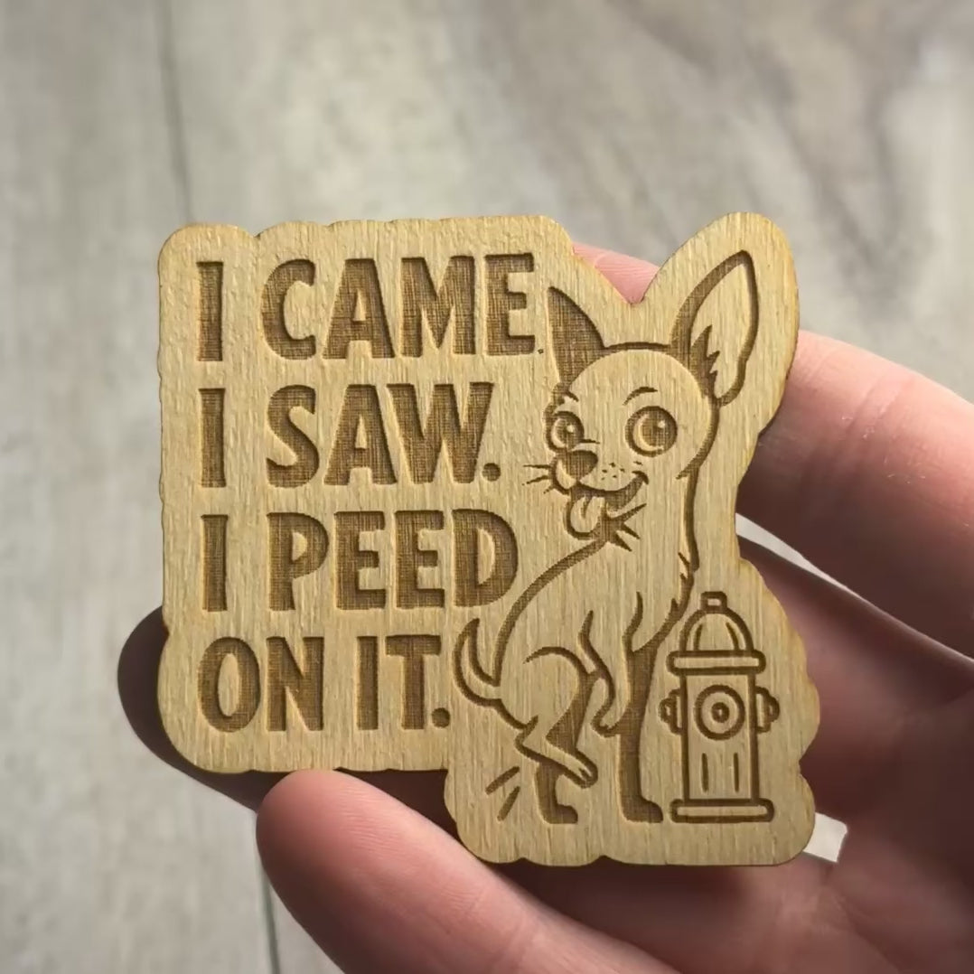 I Came I Saw I Peed On It, magnet video