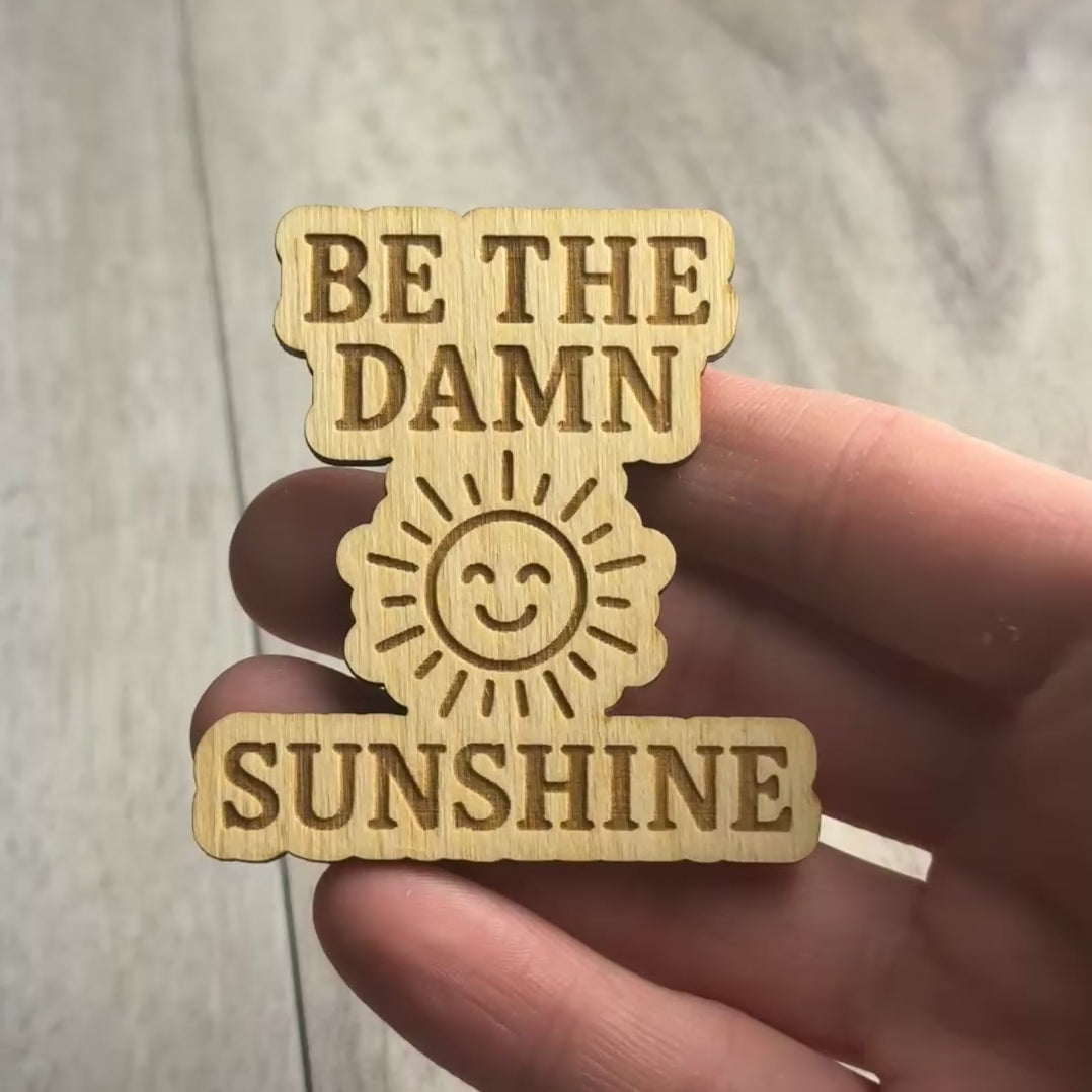 Be the Damn Sunshine magnet video